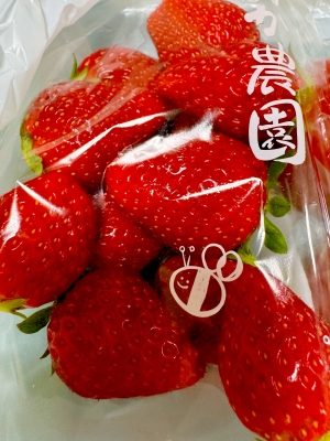 米子市皆生温泉のソープランドclubM -クラブエム-の写メ日記　ありがとう🍓画像
